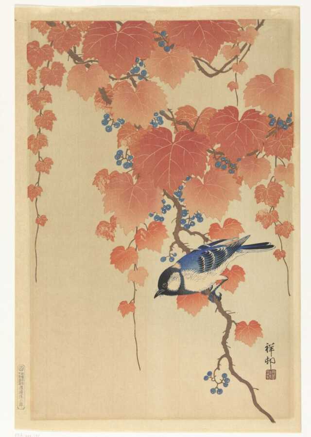 日本の花鳥画　光琳社出版刊 日本の花鳥画 全6巻揃(細野正信 監修) / 古本、中古本、古書籍の