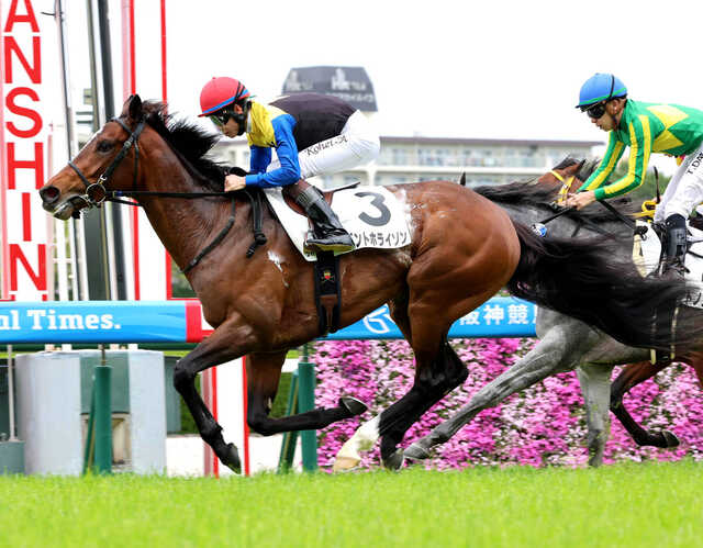 松山弘平騎手騎乗のイベントホライゾン（左）がゴール前でサトノアイボリーを差し切る（カメラ・高橋　由二）