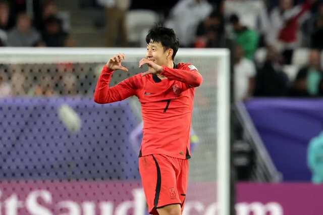 メプラミンの雄牛