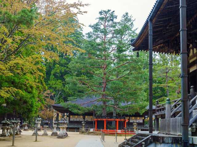 All About ニュース編集部は、全国の20～60代の男女250人を対象に「読むのが難しい駅名」に関するアンケート調査を実施しました。今回は、「読むのが難しいと思う和歌山県の駅」ランキングの結果を紹介。どの駅が選ばれたのでしょうか？