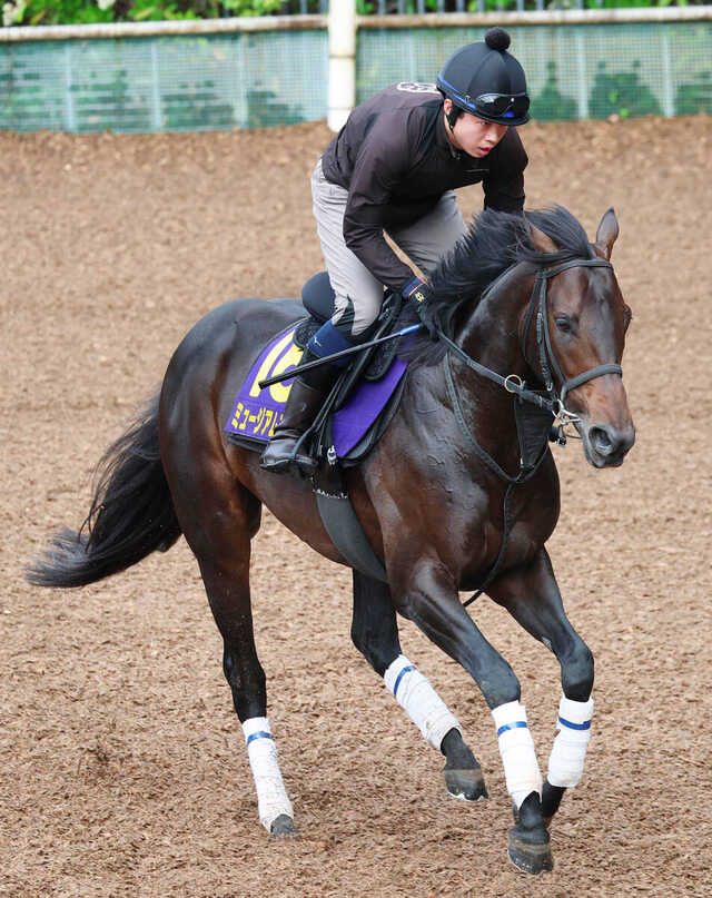 宝塚記念】有馬記念から直行で連勝なら77年トウショウボーイ以来