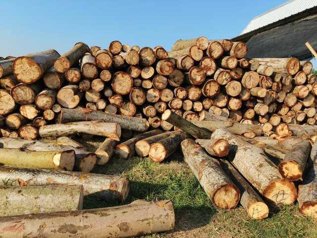 shutterstock_2468503561