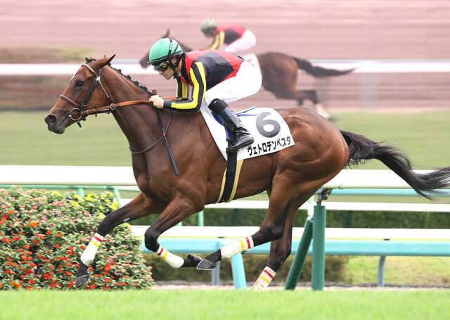 デビュー戦を快勝したヴェトロテンペスタ(カメラ・池内 雅彦)