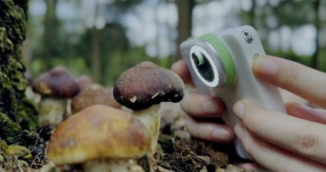 MicroCamX1：4KPocketMicroscopeCam(1)