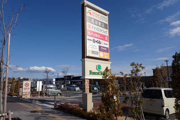 Large figure3 gallery11