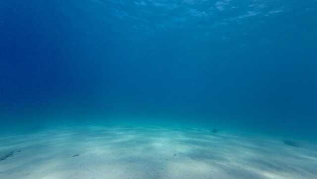 shutterstock_2730786903