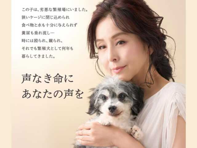 All About ニュース編集部は、全国の男女300人を対象に「愛犬家の印象が強い女性芸能人」に関するアンケート調査を実施しました。ランキング1位に選ばれた作品は？（サムネイル画像出典：杉本彩さん公式Instagramより）
