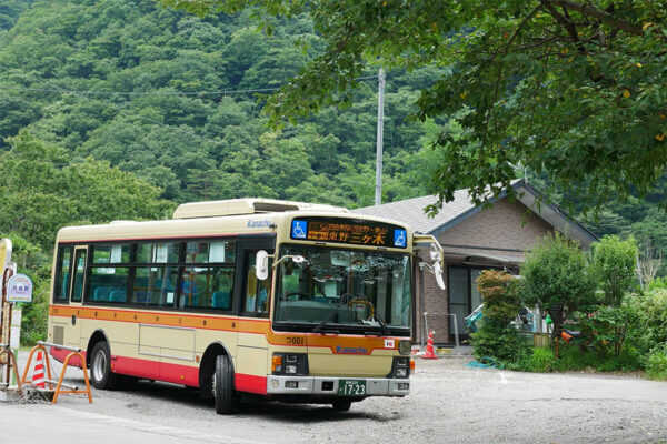 Large figure1 gallery1