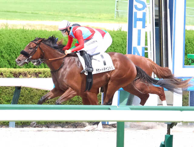 阪神6R・2歳新馬で差し切りVを決めたデザートキャンドル(カメラ・松ケ下 純平)