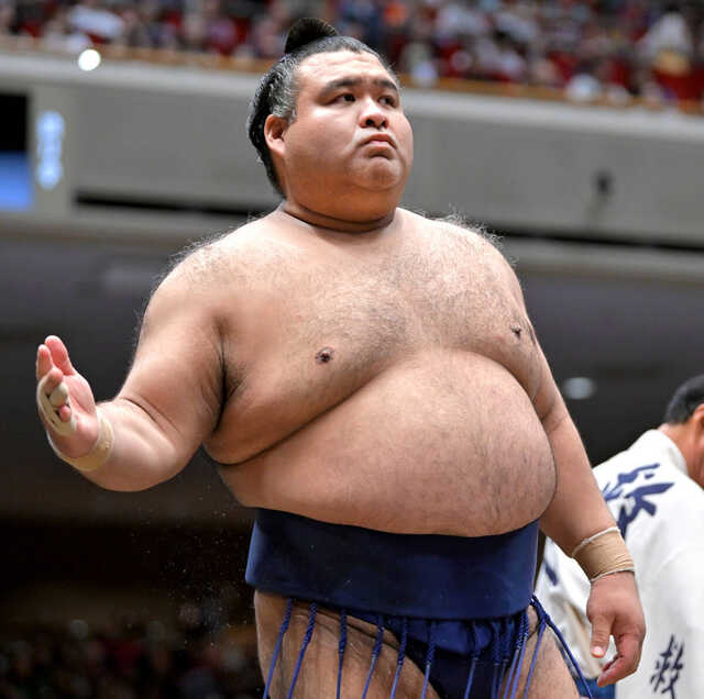 月の門 敢闘賞 殊勲賞は条件付きで高安 敢闘賞は無条件で藤ノ川、条件付きで美ノ海