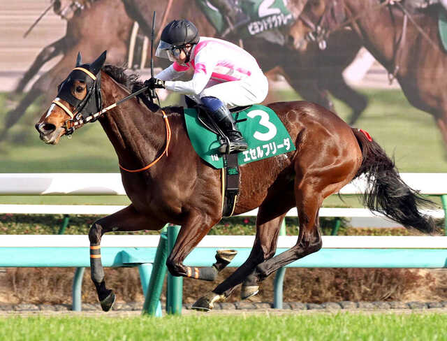 中山牝馬S】見事な親子V！武藤雅騎手＆善則調教師がエセルフリーダで