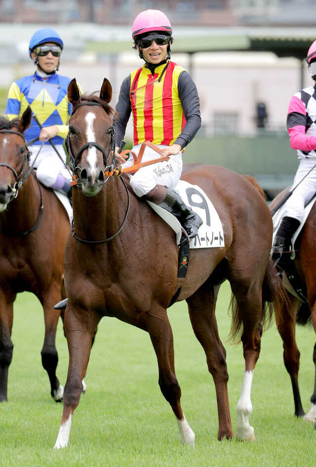 阪神5R・2歳新馬】桜花賞馬スターアニスの半妹・ハートノートの初陣