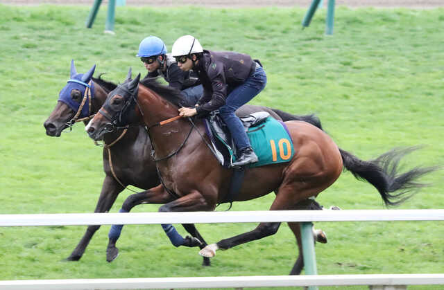 馬トク激走馬に計算されたデザートスピリット(手前)(カメラ・坂本 達洋)