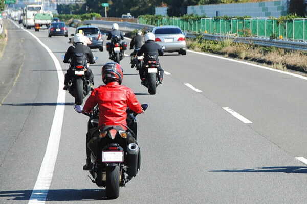 Large figure1 gallery3