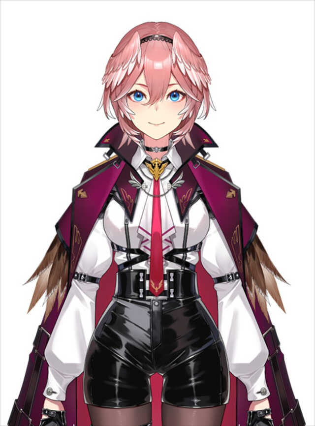 ホロライブ・鷹嶺ルイ、アルバムを高額出品する非正規販売を発見