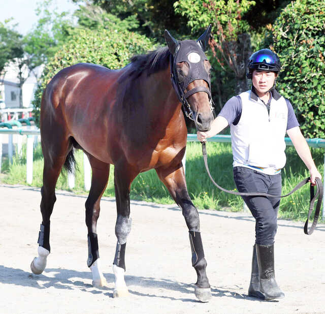 競馬カード ソングライン 戸崎圭太 直筆サイン ホースレーシング2023上半期 Amazon.co.jp: ホースレーシングカード 2023 ソングライン 戸崎