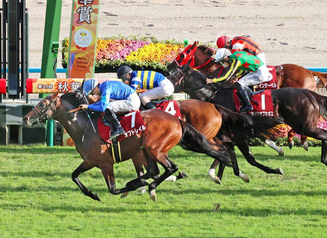 スワンS】オフトレイルが重賞2度目のレコード勝ち！「最高の形