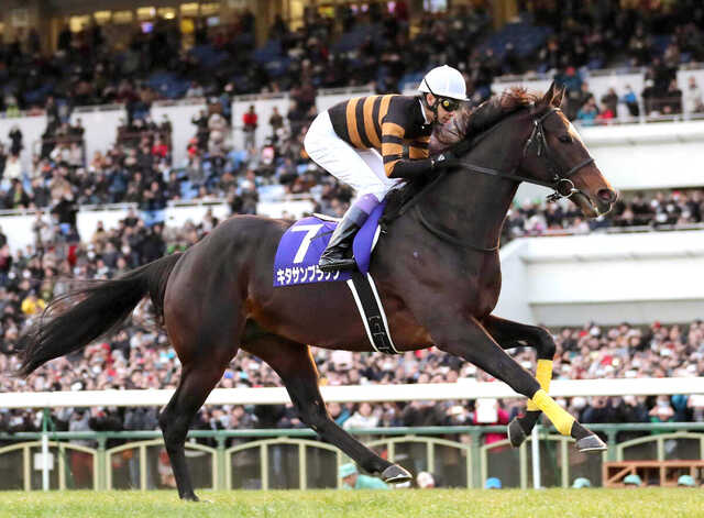 2億2000万円で落札された母デイアウトオブジオフィスの父はキタサンブラック