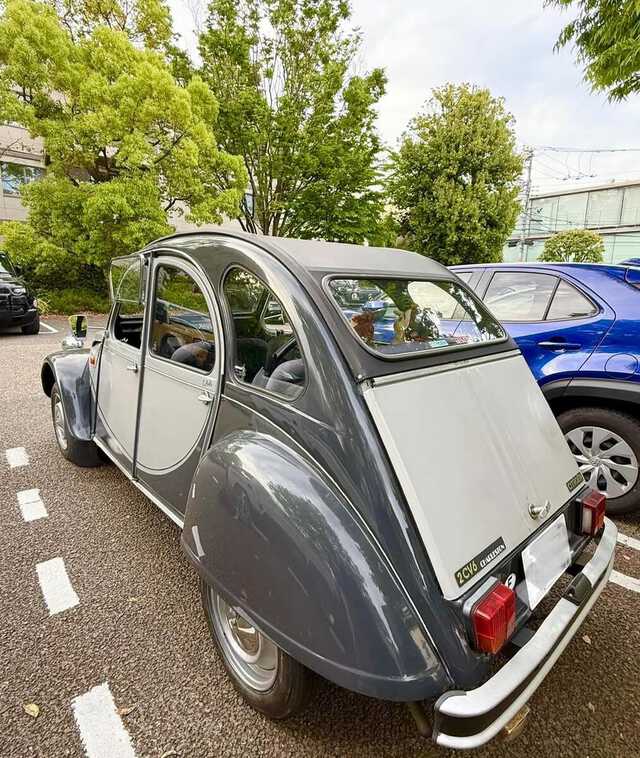 テリー伊藤さん　インスタグラムより引用