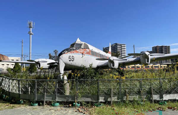 Large figure1 gallery2