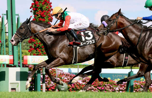 厩舎へ帰ろう 1~7巻＋書斎の競馬1〜4巻　11冊セット 馬体は語る (競馬道OnLine 選書シリーズ) | 治郎丸 敬之, 競馬道