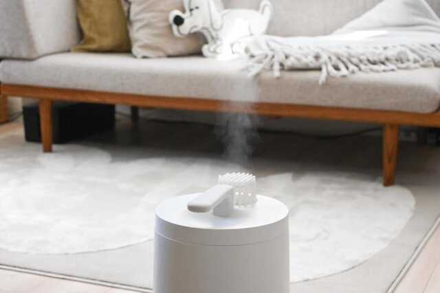 9_steamhumidifier