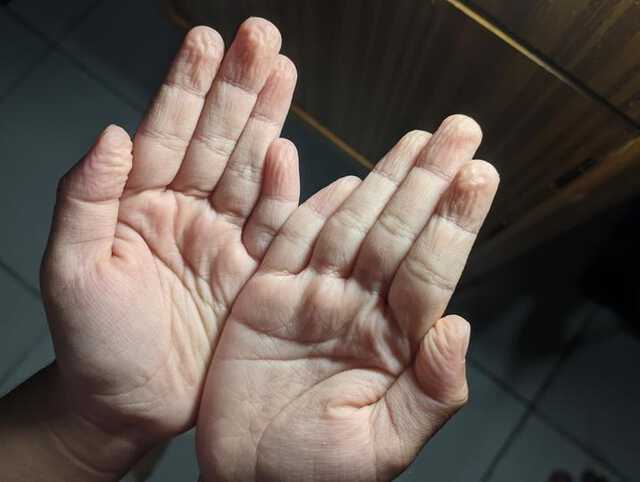 shutterstock_2290890917