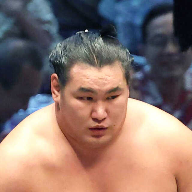 豊昇龍