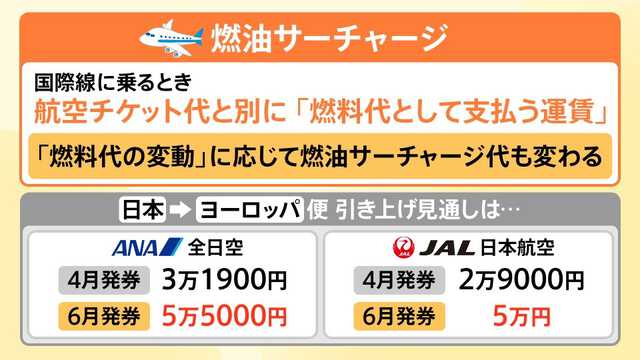 TBS NEWS DIG Powered by JNN