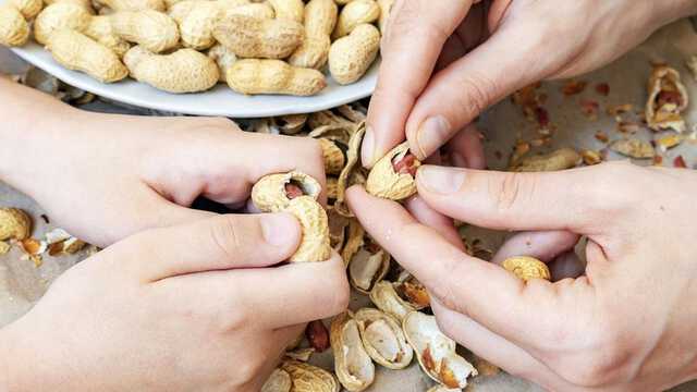 shutterstock_1751836976