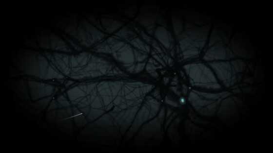 宇宙の広い範囲を占めている銀河がほとんどない領域「超空洞(ボイド)」とは？ - 画像