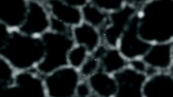 宇宙の広い範囲を占めている銀河がほとんどない領域「超空洞(ボイド)」とは？ - 画像