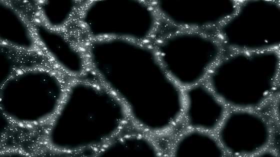 宇宙の広い範囲を占めている銀河がほとんどない領域「超空洞(ボイド)」とは？ - 画像