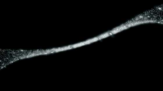 宇宙の広い範囲を占めている銀河がほとんどない領域「超空洞(ボイド)」とは？ - 画像