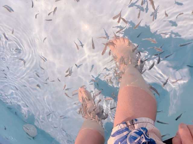 辻希美さん　公式ブログより引用