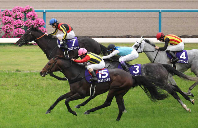 写真判定の末にクロワデュノール（奥、７番）が天皇賞・春を制覇（カメラ・義村　治子）
