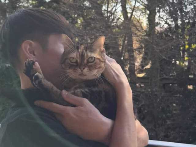 俳優の窪田正孝さんは3月19日、自身のInstagramを更新。3月16日に愛猫のニコが天国へ旅立ったことを報告しました。（サムネイル画像出典：窪田正孝さん公式Instagramより）