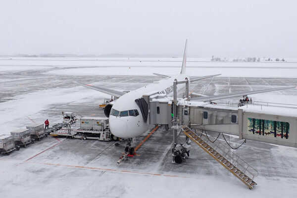 Large figure1 gallery10