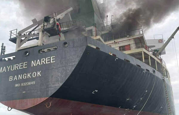 Large figure1 gallery1