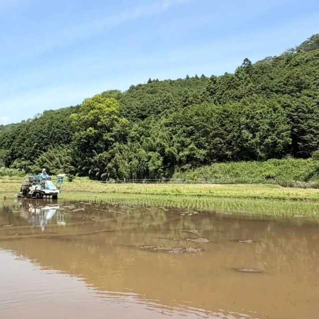 磯野貴理子さんのインスタグラム投稿より