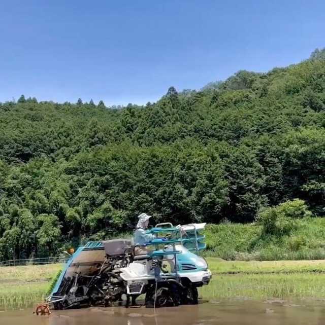 磯野貴理子さんのインスタグラム投稿より