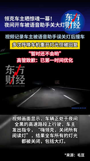 中国製EVが音声アシスタントの不具合で走行中にライトが消えて衝突 - 画像