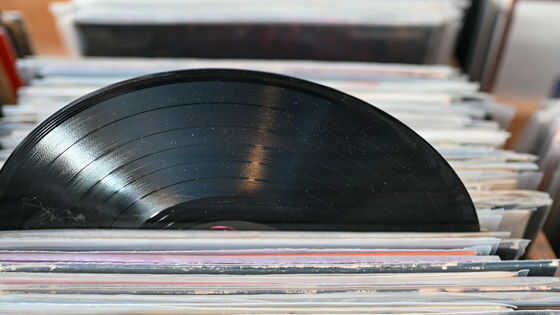 Spotifyのコンテンツを無断で収集していた海賊版図書館「Anna’s Archive」に3億2220万ドル(約510億円)の賠償金支払いを命じる判決 - 画像