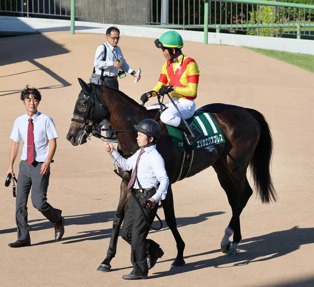 全競馬場出目V作戦 2001～2002 楽天ブックス: 全競馬場出目V作戦 2001～2002 - 馬連・ワイド