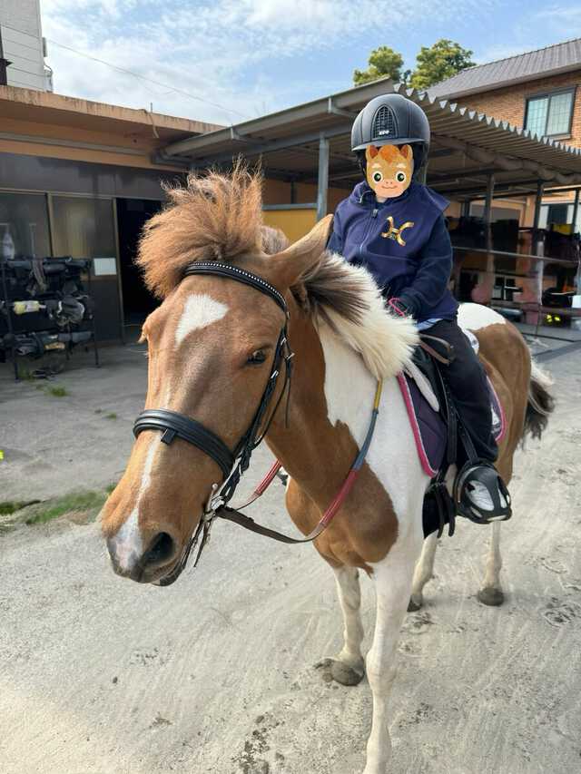 華原朋美さんの公式Xより