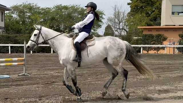 華原朋美さんの公式Xより