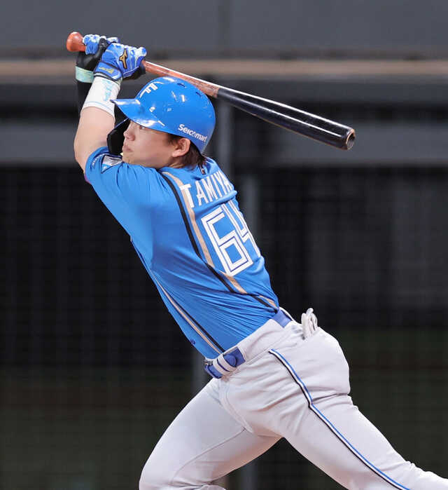 日本ハムファイターズ 田宮裕涼 エスコンフィールド限定 特注ケース付サインボール 日本ハムファイターズ 田宮裕涼 エスコンフィールド限定 特注ケース付