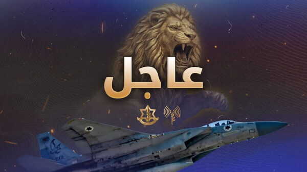 Large figure2 gallery3