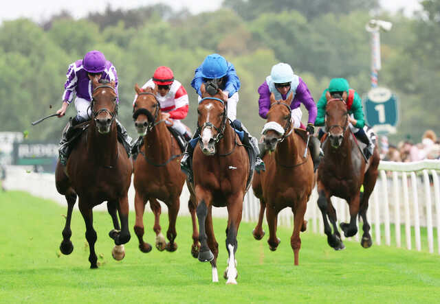 ①◆　競馬　JRA　◆　ダノンデサイル　◆　日本ダービー　◆　２種類セット　◆ ダノンデサイル（Danon Decile） | 競馬データベース | JRA-VAN