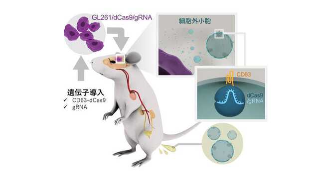 20260224_coi-thumb-980xauto-18353